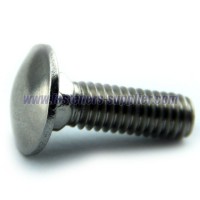 Made in China SAE GR.2 Plain Round Head Bolt